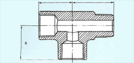 pic1